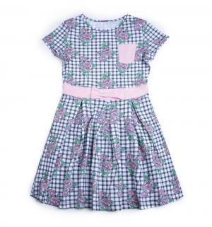 Платье , цвет: синий/розовый Mark Formelle