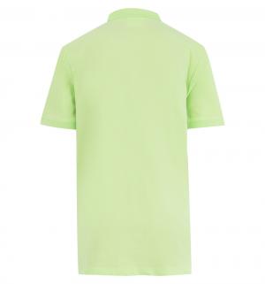 Футболка-поло  Basic Boy, цвет: зеленый Coccodrillo
