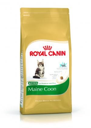 Корм сухой  Maine Coon для котят породы мэйн-кун и других крупных пород, 4кг Royal Canin