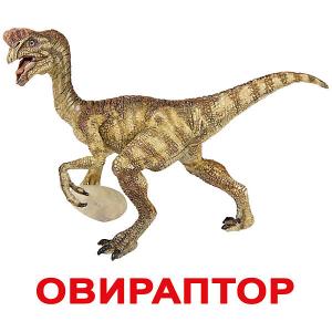 Набор обучающих карточек  Динозавры 20 штук Вундеркинд с пелёнок