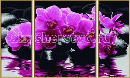 Картина по номерам Триптих Орхидеи 50х80 см Schipper