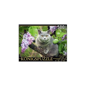 Пазл  Британская голубая кошка 500 элементов Konigspuzzle