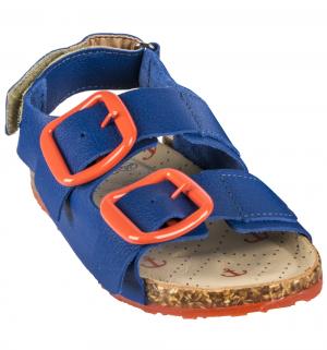 Сандалии  shoes, цвет: синий Bibi
