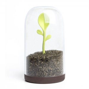 Контейнер для сыпучих продуктов Sprout Jar Qualy