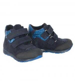 Ботинки , цвет: синий Dandino