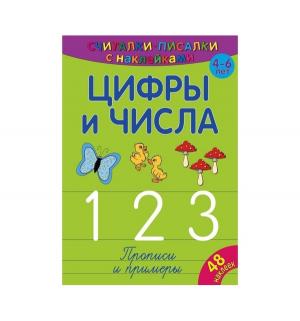 Обучающая книга  Цифры и числа 123 4+ ND Play